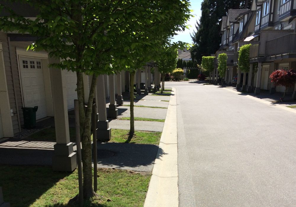 pressure-washing-hp-driveway