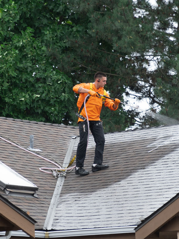 Soft Washing Hp Roof Cleaning Service