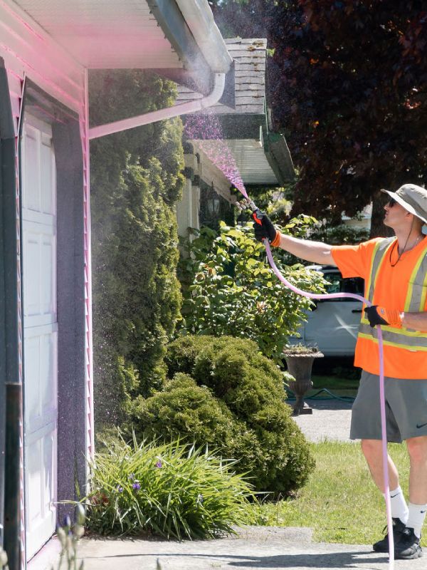 House Soft Washing