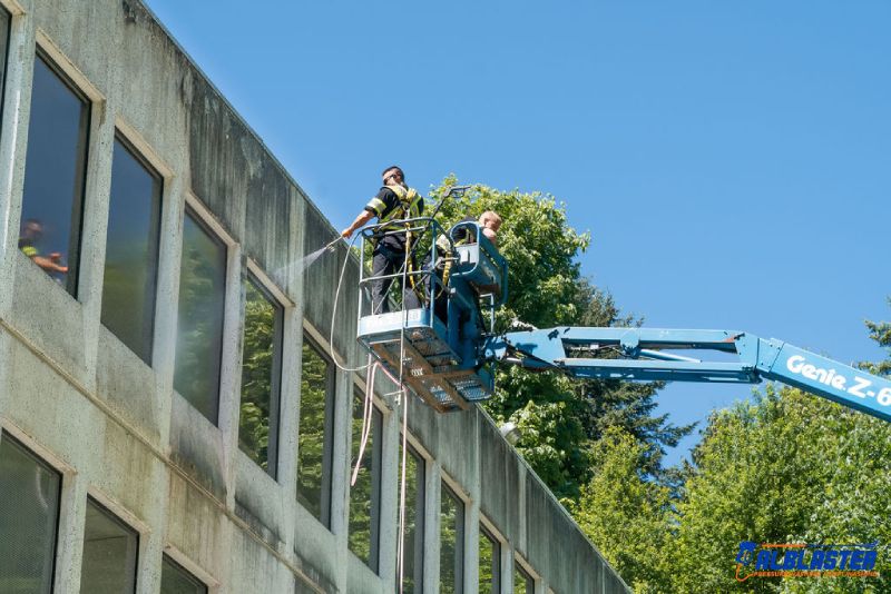 Soft washing from a ladder on a commercial building