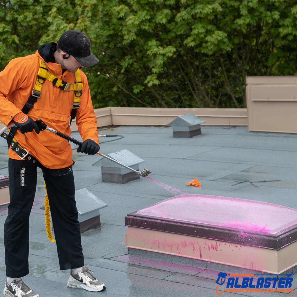 Alblaster Pressure Washing 4th Str 007