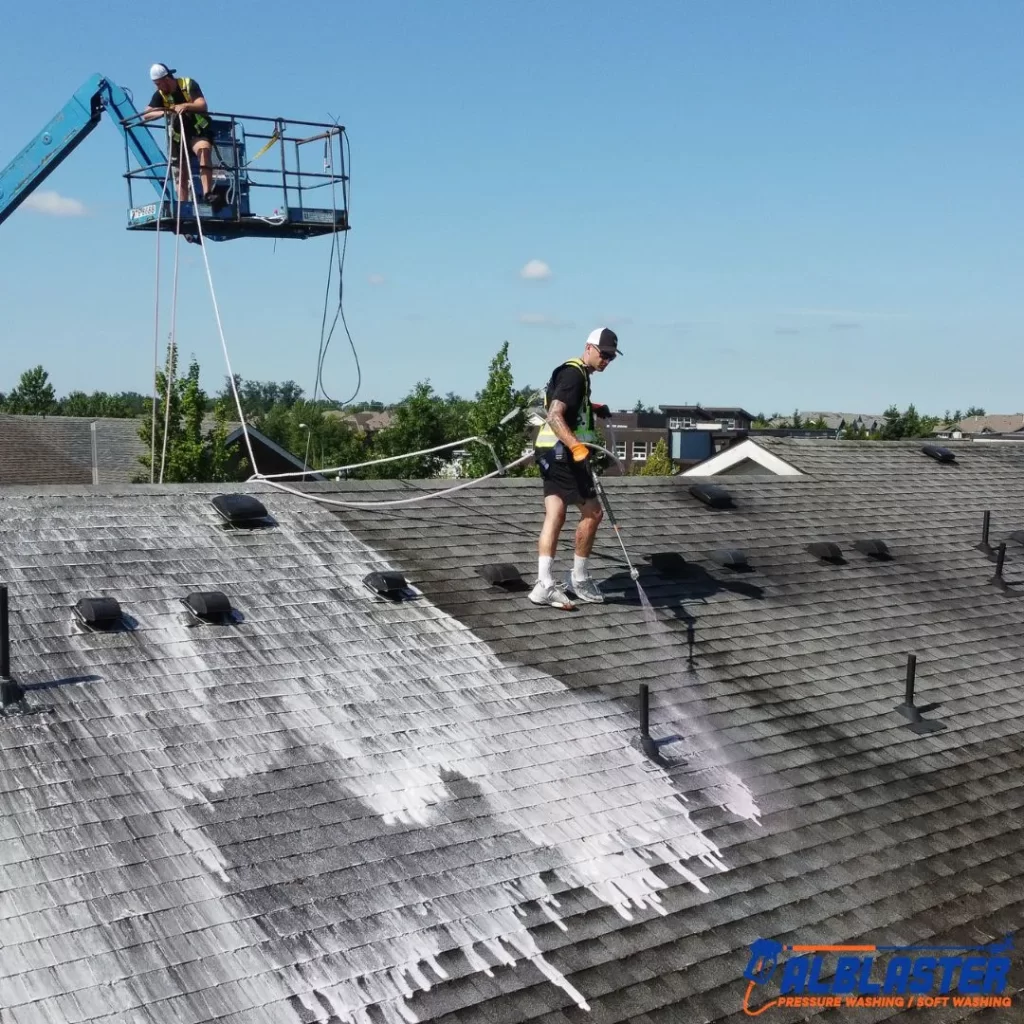 Surrey Strata Roof Cleaning Soft Washing (2)
