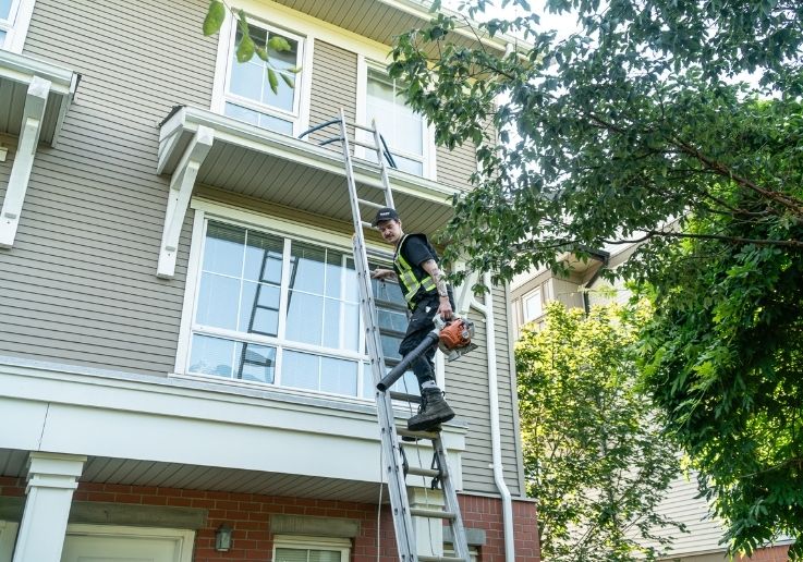 Gutter Cleaning Hp