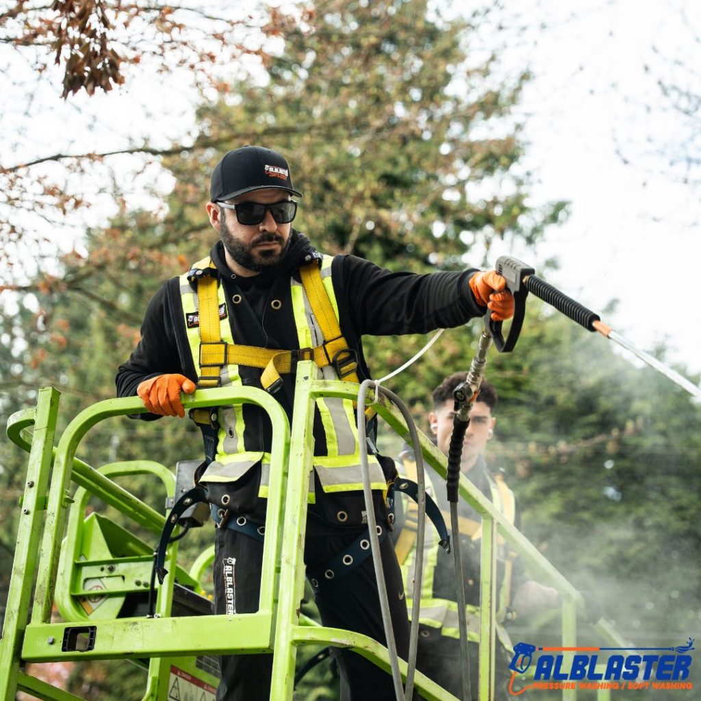 Vancouver Strata Luma E Georgia St Soft Washing (4)