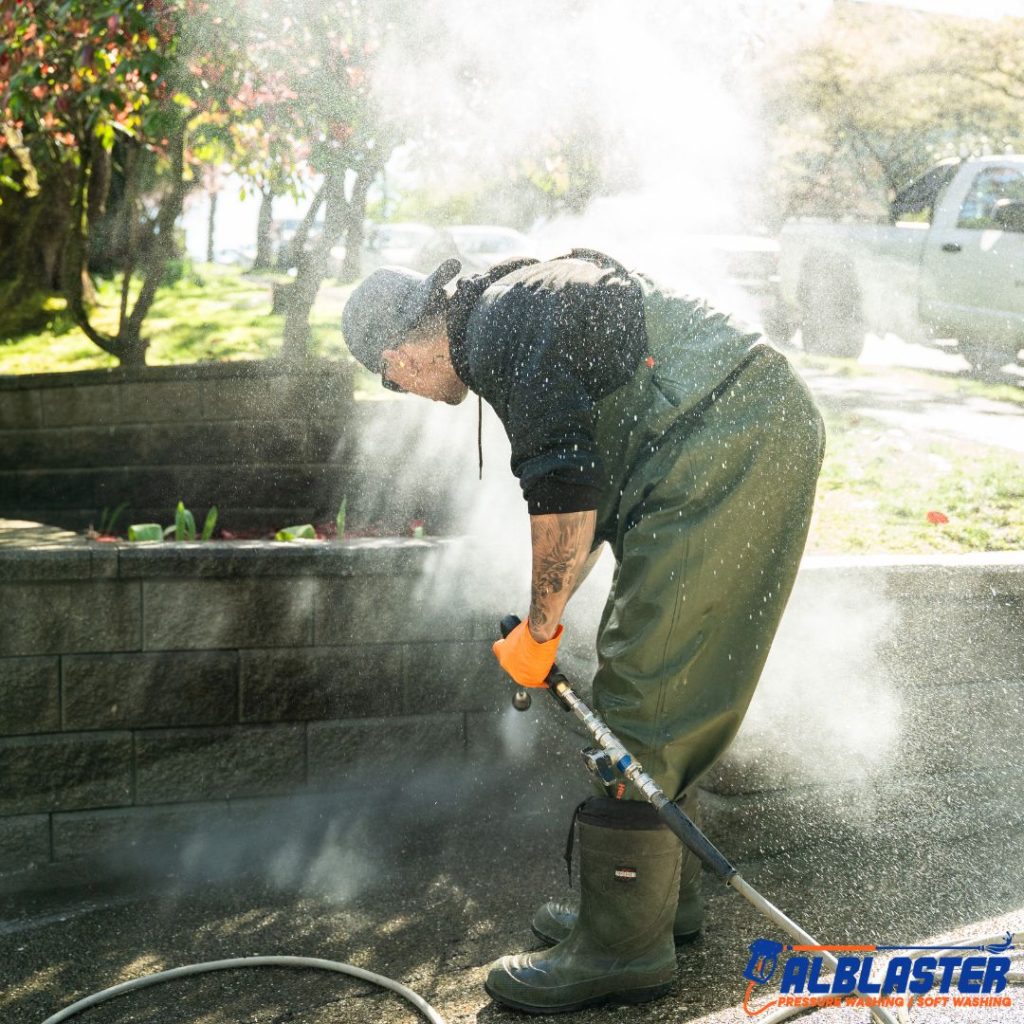 Vancouver Strata Luma Soft Washing Pressure Washing (3)