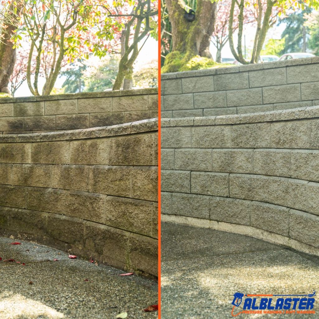 Vancouver Strata Luma Soft Washing Pressure Washing (5)